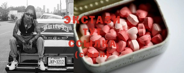 ECSTASY Богородицк