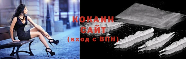 ECSTASY Богородицк