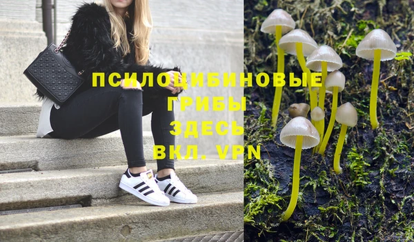 кокаин премиум Белокуриха