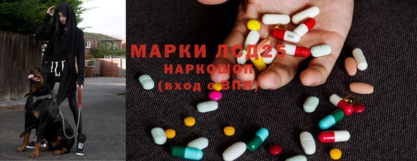 ECSTASY Богородицк