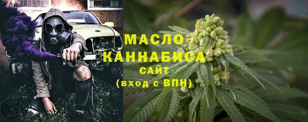 ECSTASY Богородицк
